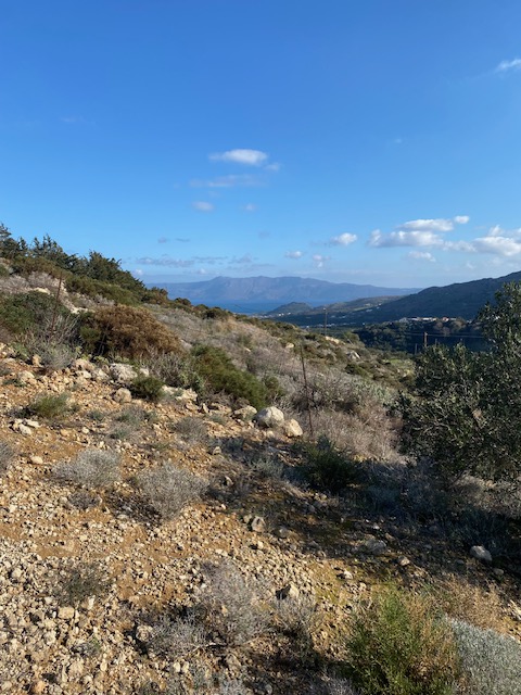 Property Featured Image