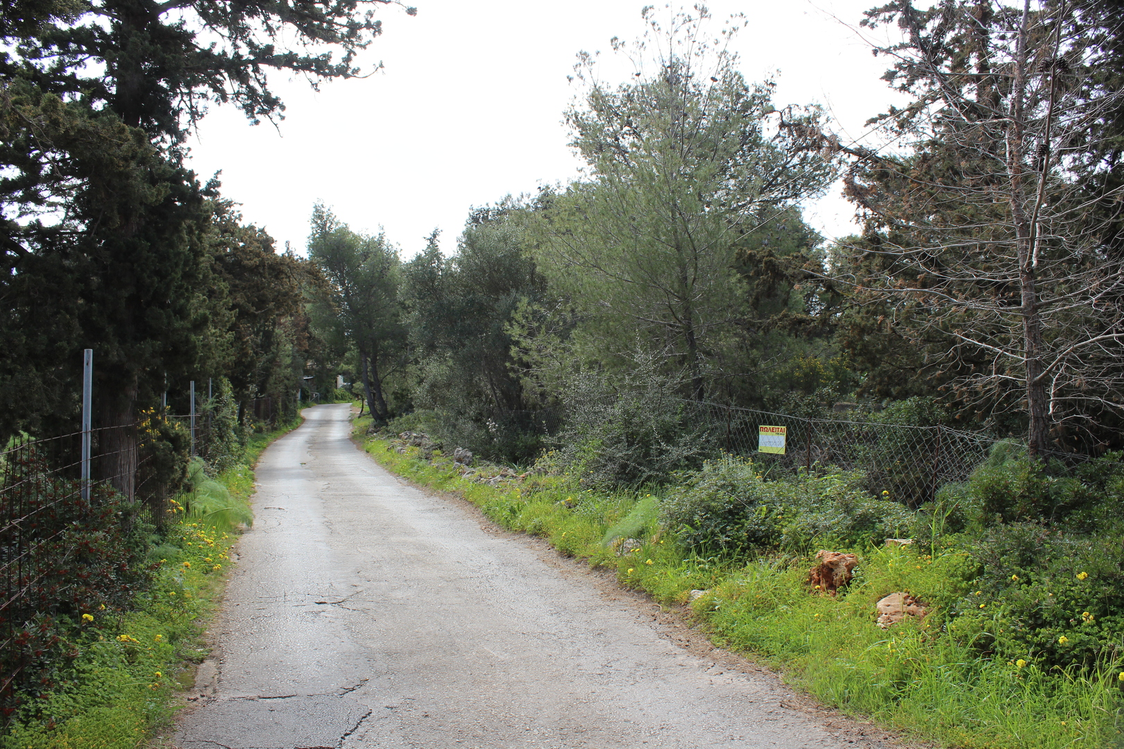 Property Featured Image