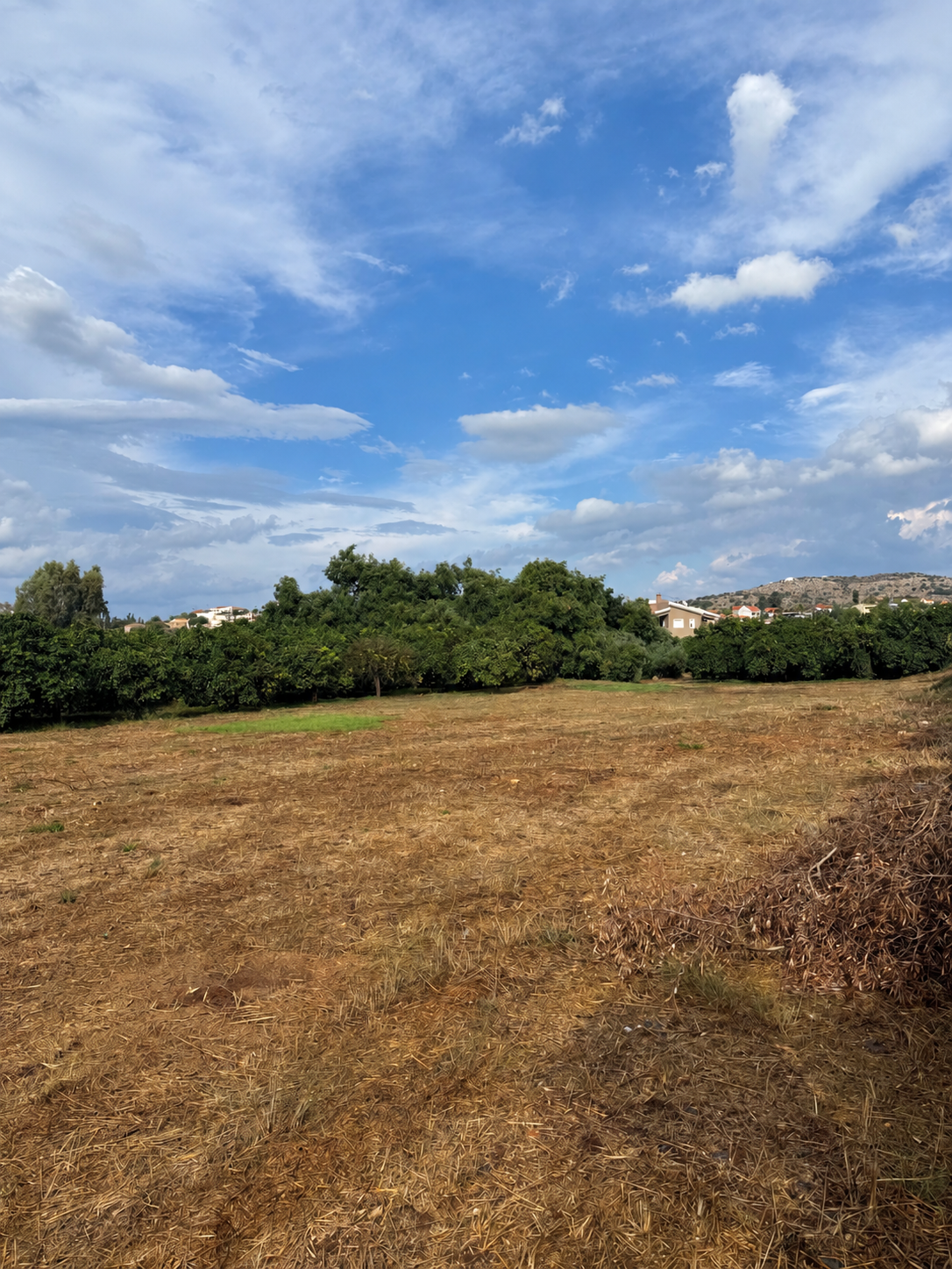 Property Featured Image