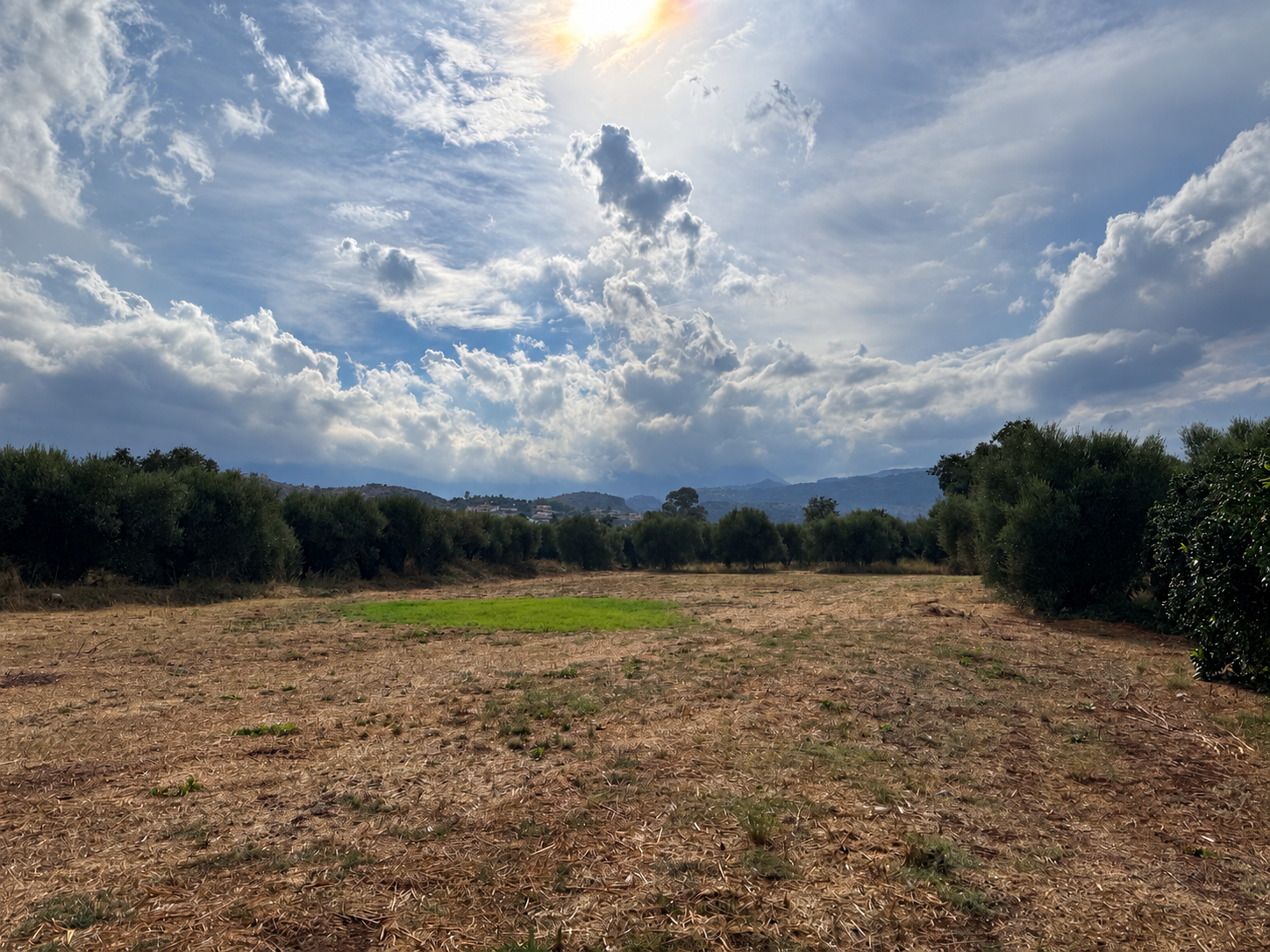 Property Featured Image